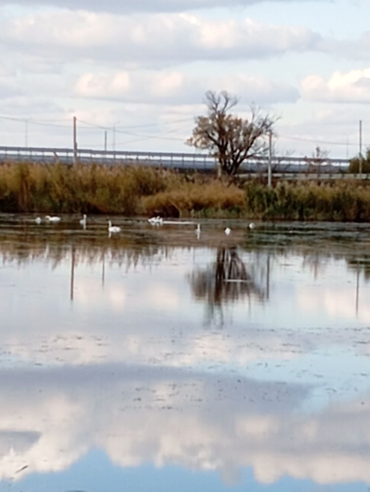 Photograph by Алевтина