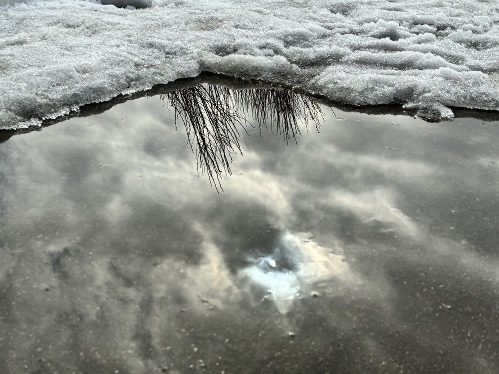 Photograph by Марина Сальникова
