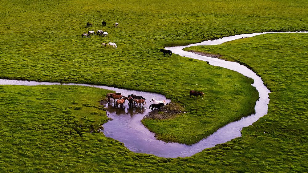 Мендры реки Кырлык.