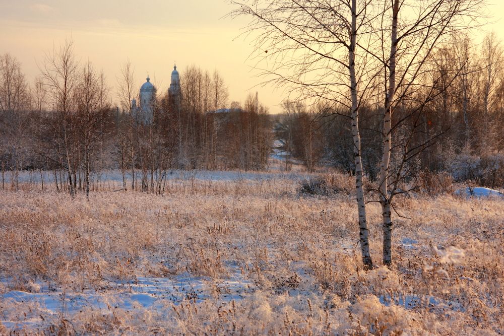Фотография автора Nelya  Lysenko