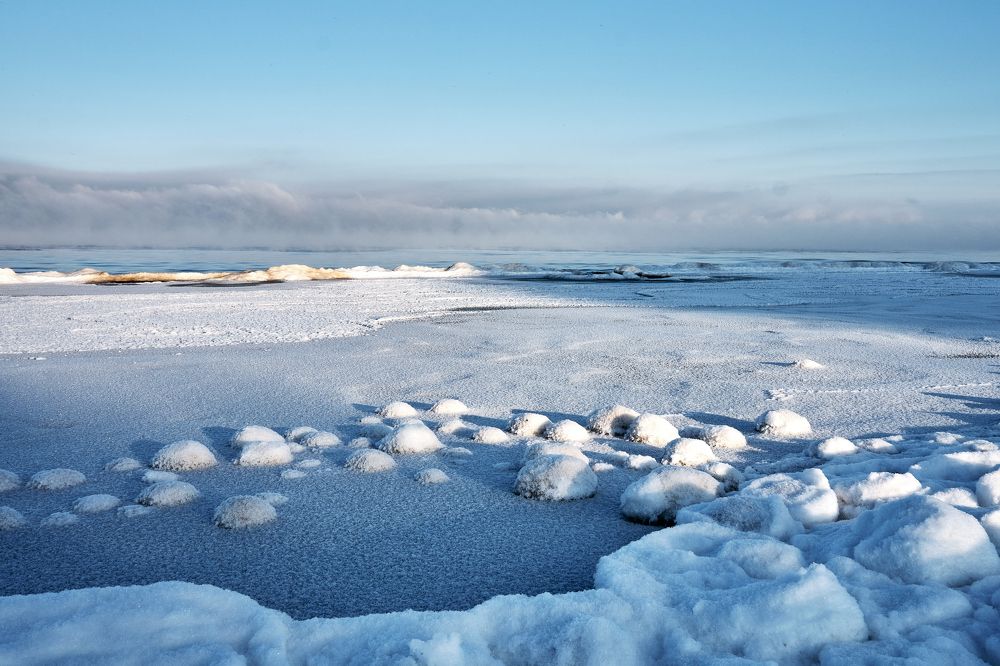 Фотография автора VIZO