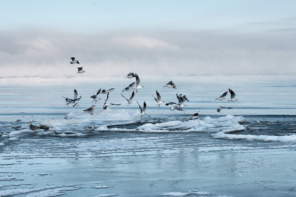 Фотография автора VIZO