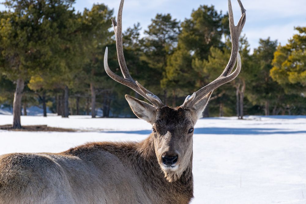 Photograph by Олег Беспалов