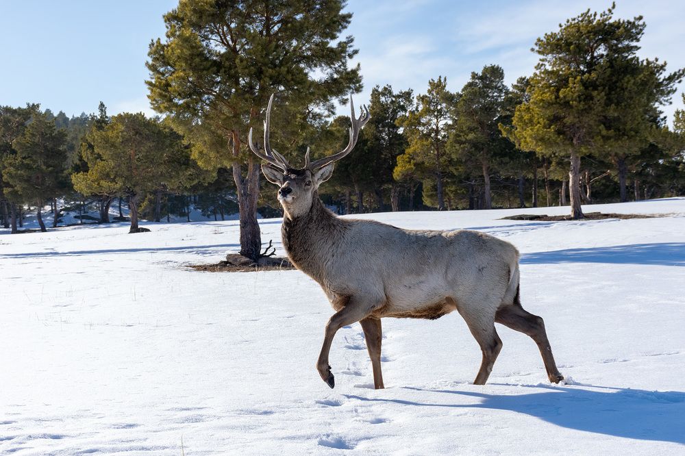 Photograph by Олег Беспалов