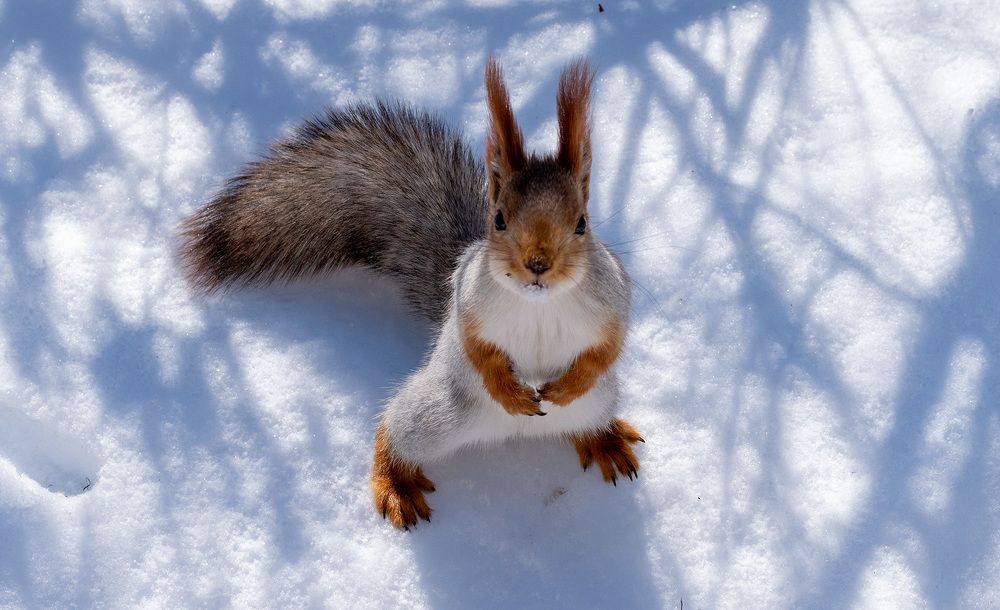 Photograph by Олег Беспалов