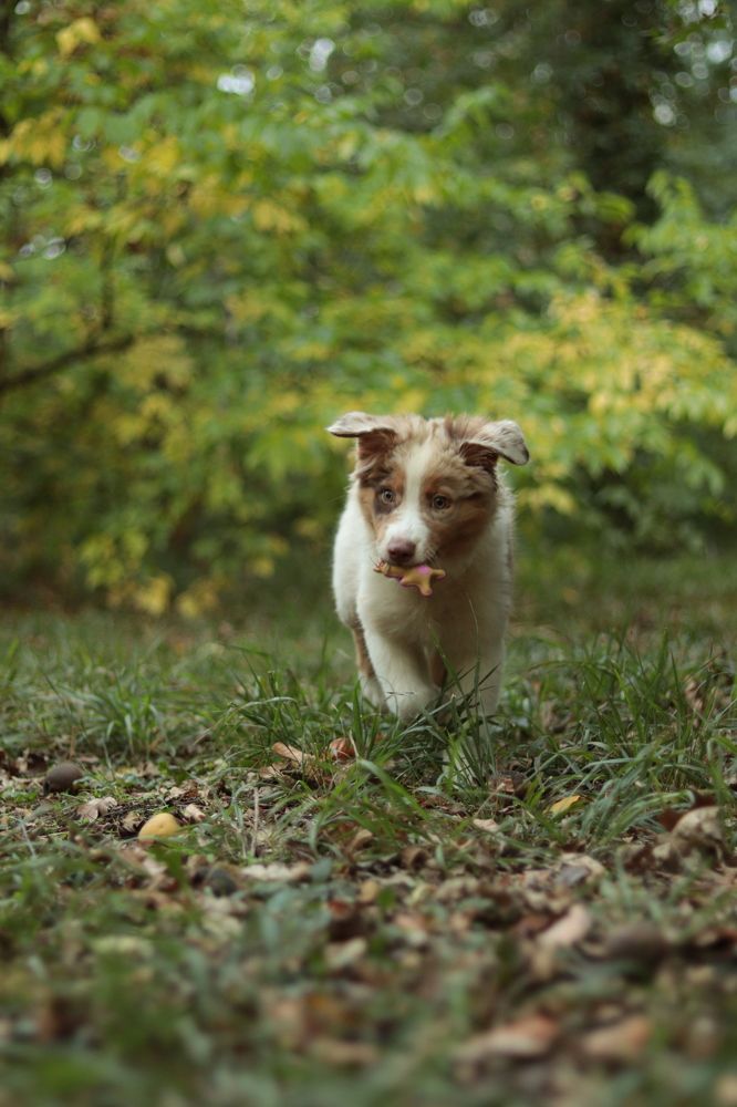 Photograph by Анастасия Слободская