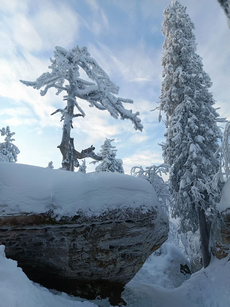 Photograph by Сергей Шевырин