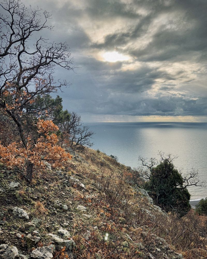 Photograph by Козинец Александр