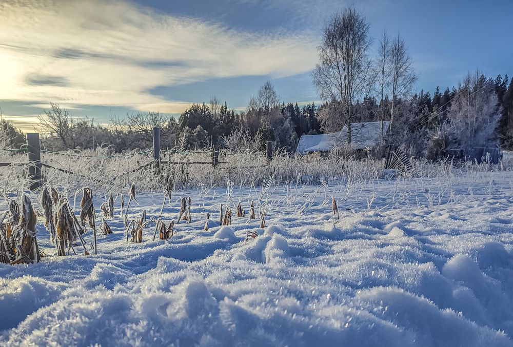 Photograph by Алёна Пшеленская