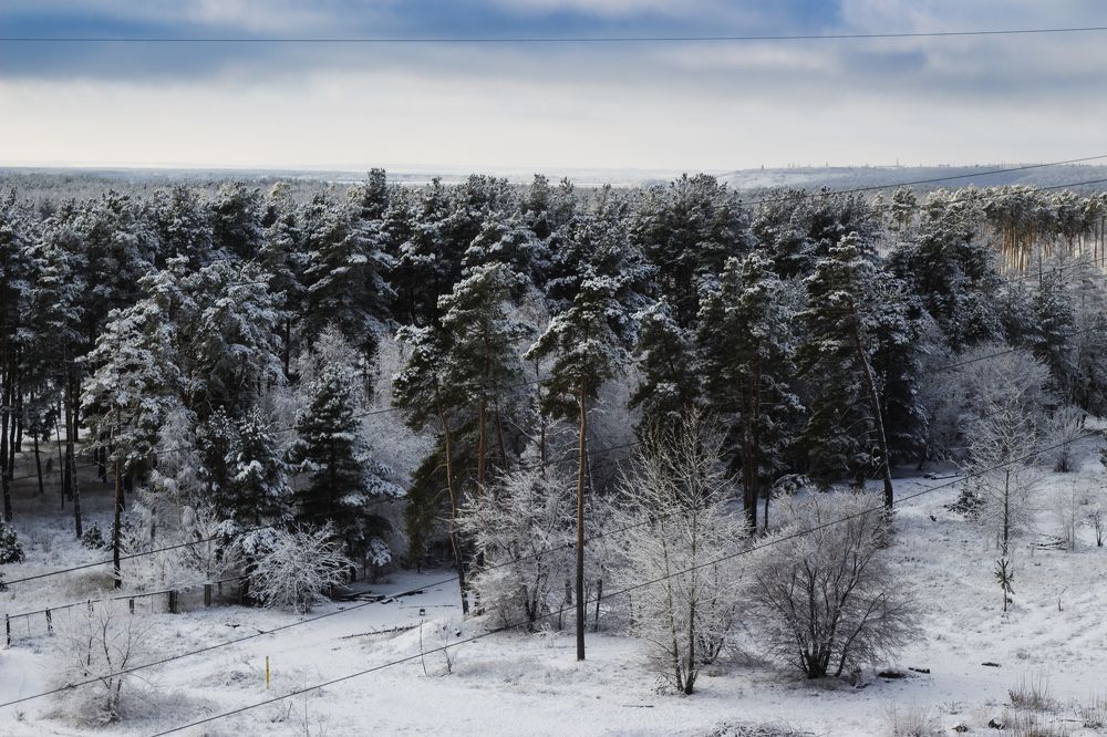 Photograph by АЛЛА ТАРАСЕНКО