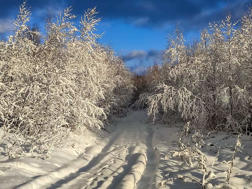 Photograph by Алёна Пшеленская