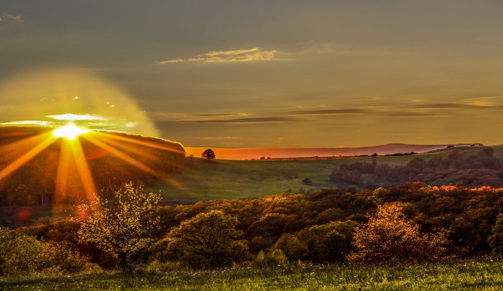 Sunset in the Forest Countryside