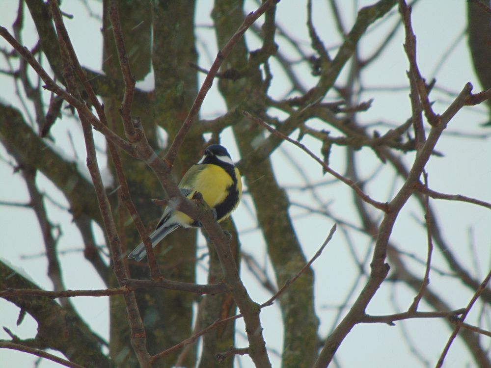 Photograph by Anna Veľasová