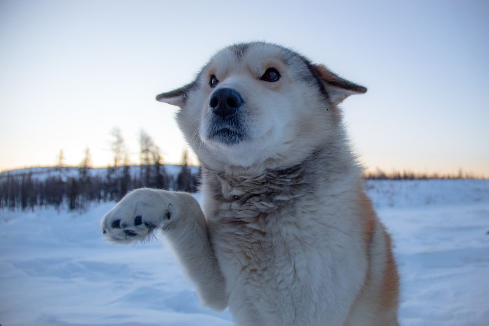 Photograph by Михаил Мархинин