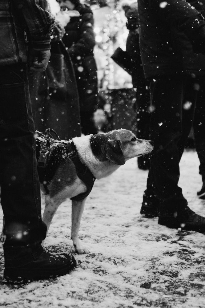 The first visitor at the Christmas market
