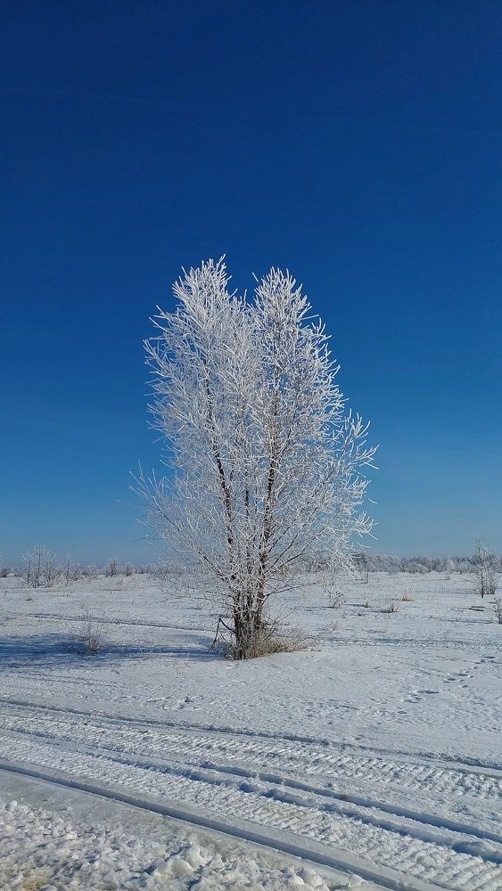 Photo #11686894