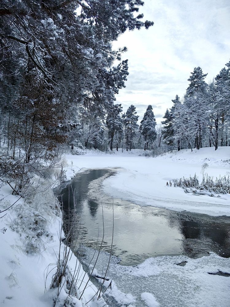 Photograph by Татьяна Емельянова