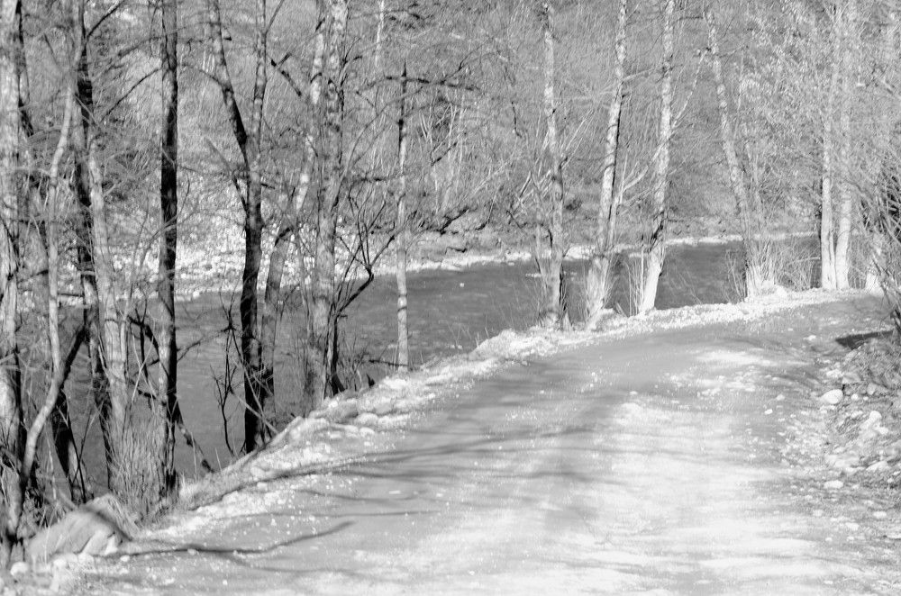 Photograph by Ольга Булавкина