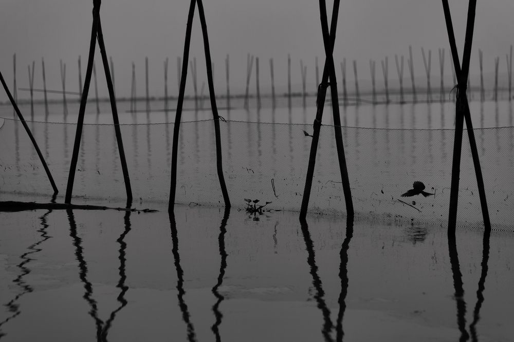 Photograph by Vl Peka Zofa