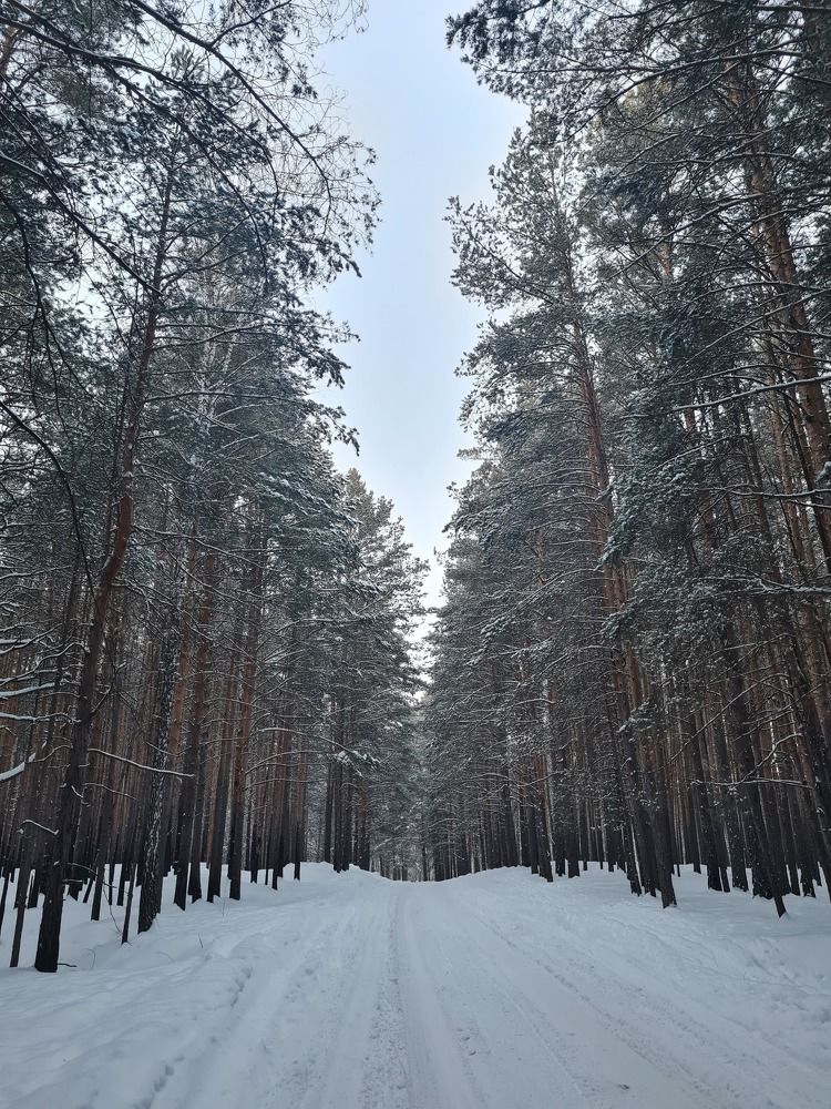 Photograph by Анастасия Мусихина