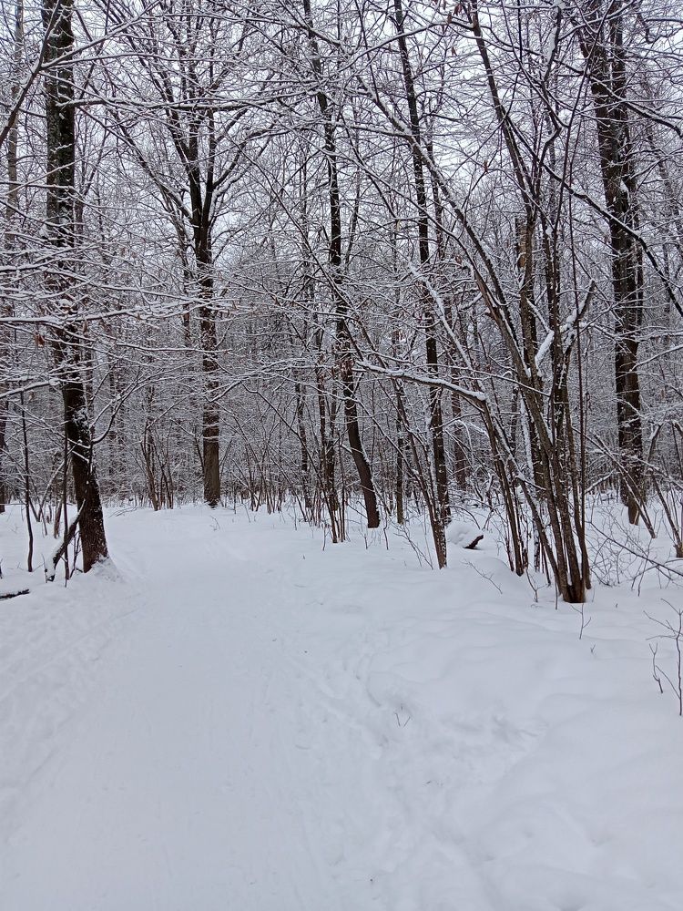 Photograph by Ольга Сергеева