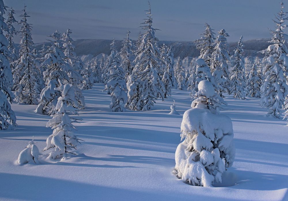 Photograph by Александр Велигура