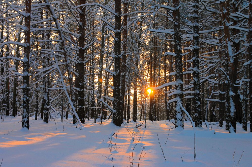 Photograph by Екатерина Кузнецова