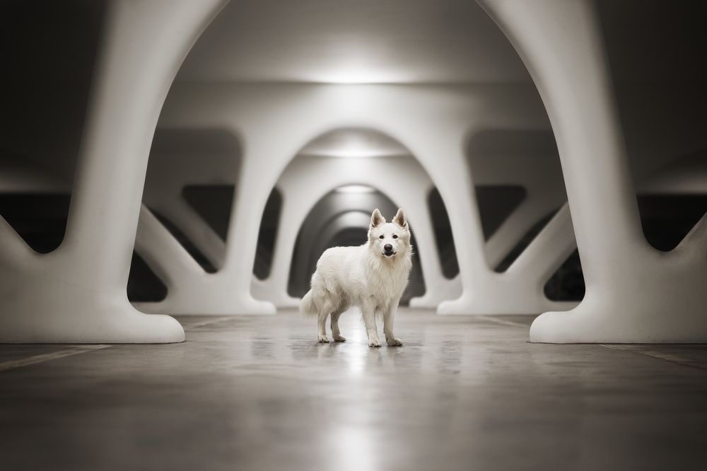 Photograph by Elke Braet