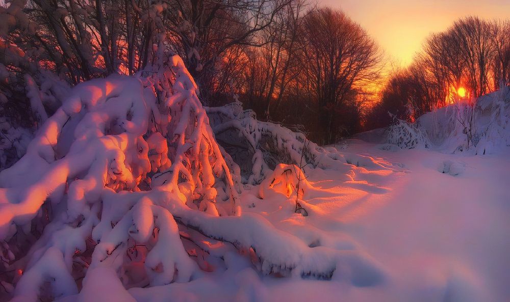 Photograph by Владимир