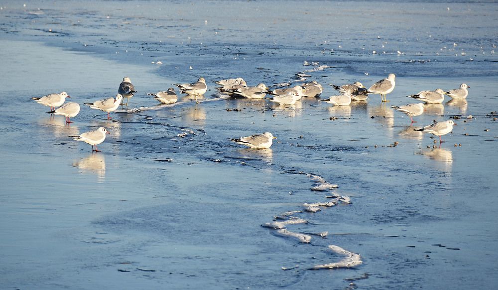 Photograph by Marjo Steffen