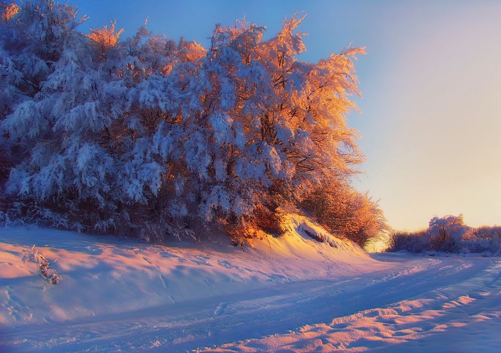 Photograph by Владимир