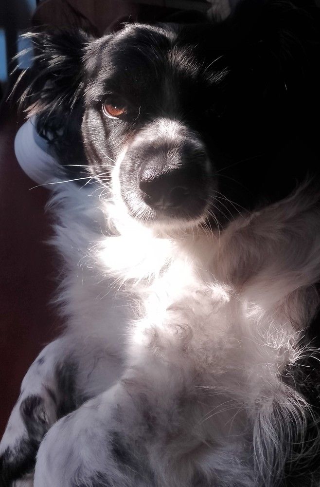 Photo #11687067