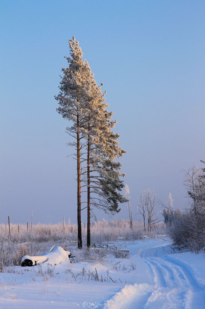 Photograph by Екатерина Кузнецова