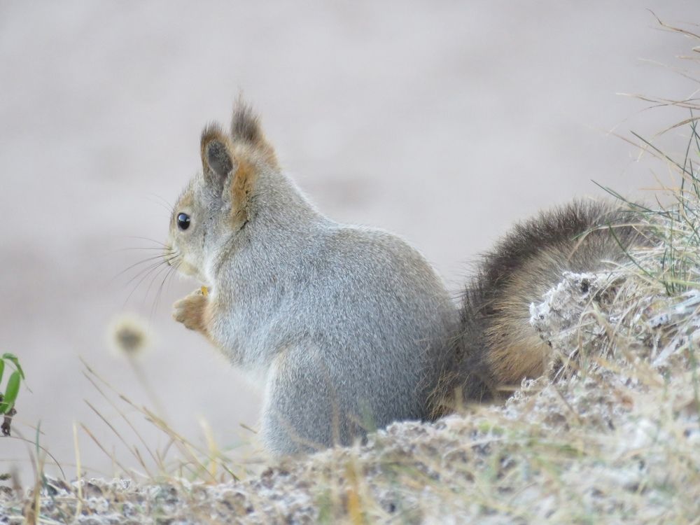 Photograph by Валерия Яскович