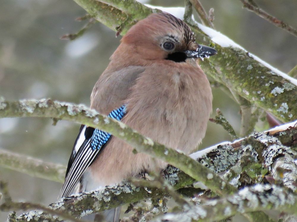 Photograph by Валерия Яскович
