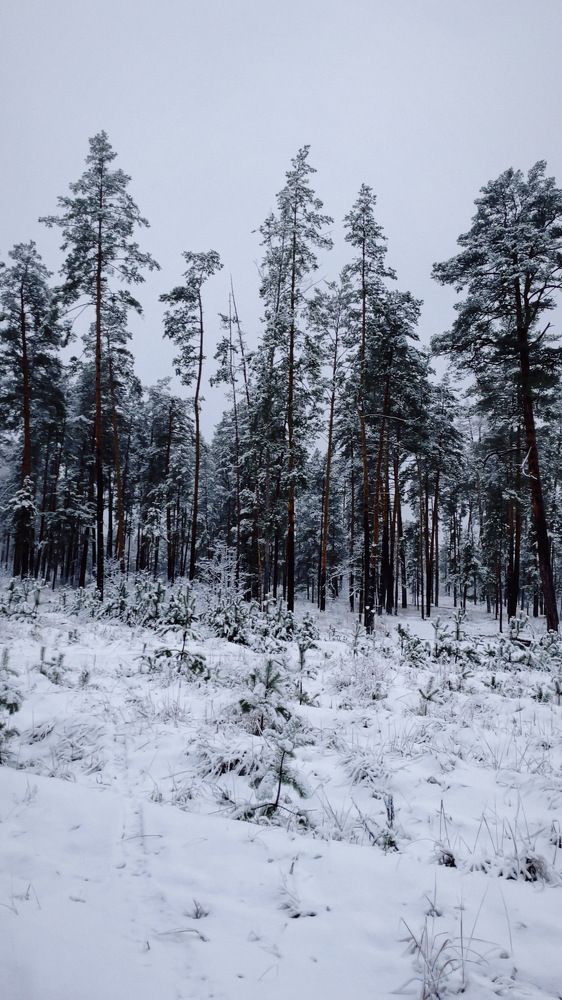 Photograph by Екатерина Кузнецова