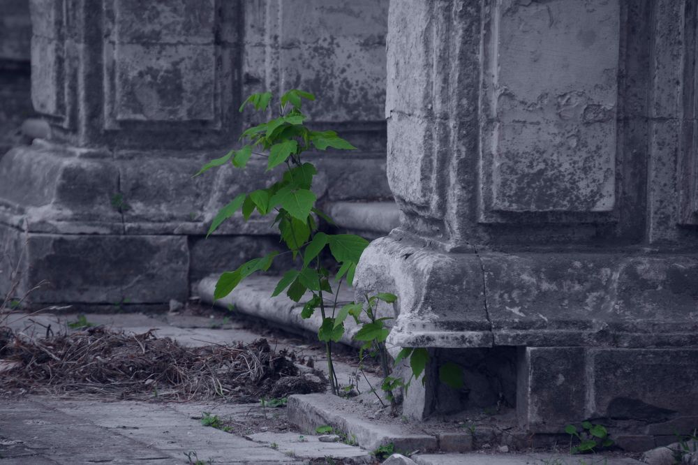 Photograph by Елена Щитова