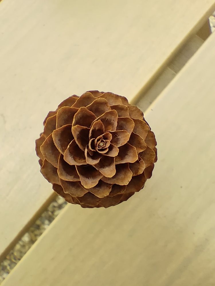 Photograph by Ольга Кириллова