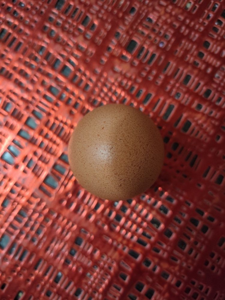 Photograph by Ольга Кириллова