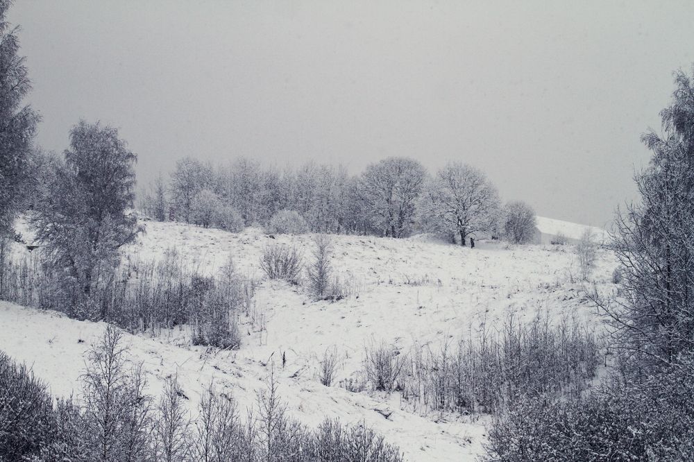 Photograph by Давид Гянджалиев