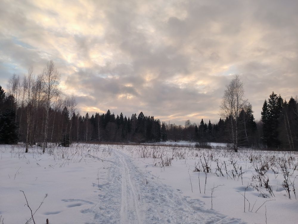 Дорога в никуда