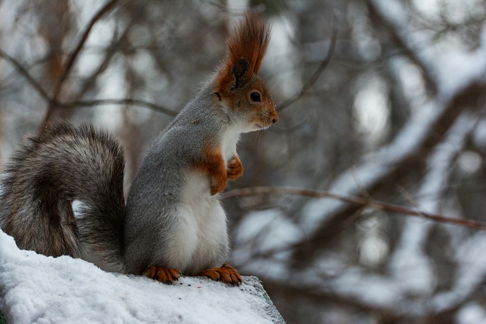 Photograph by Едынак Евгений