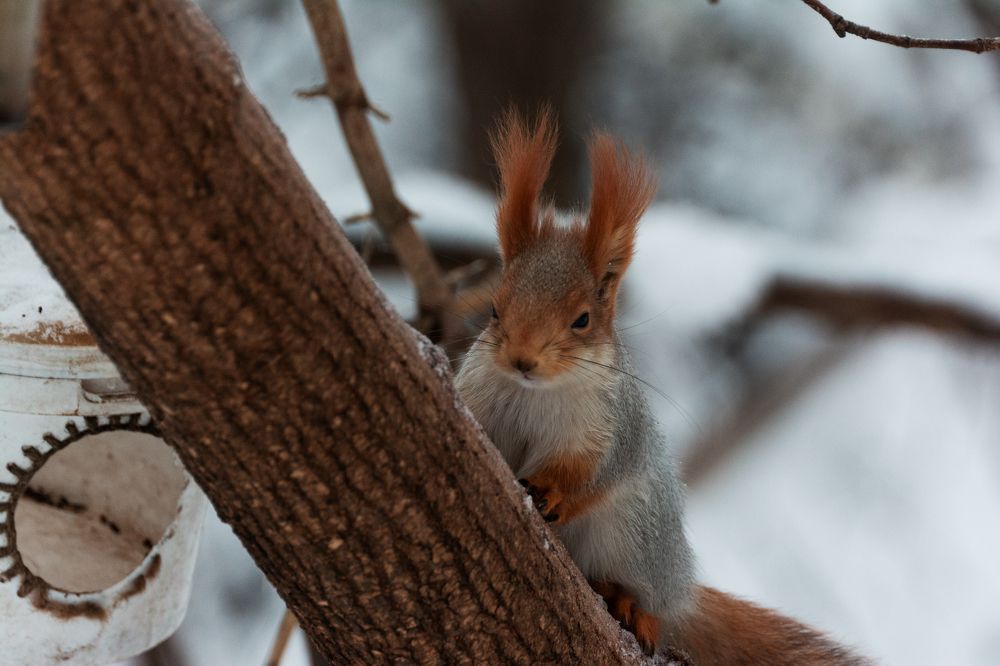 Photograph by Едынак Евгений