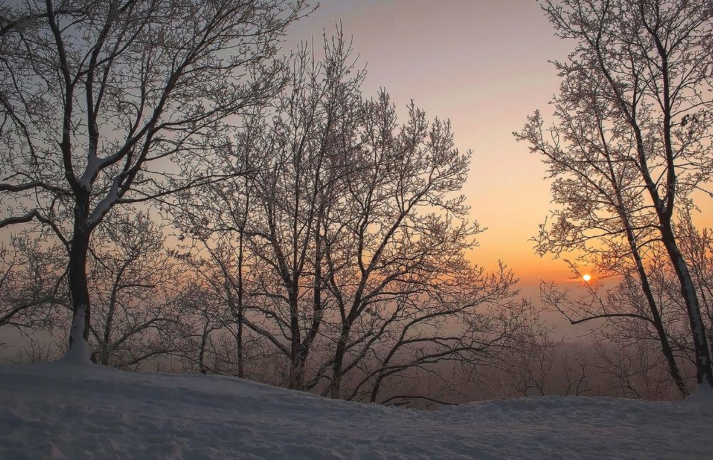 Photograph by Алексей Патлах