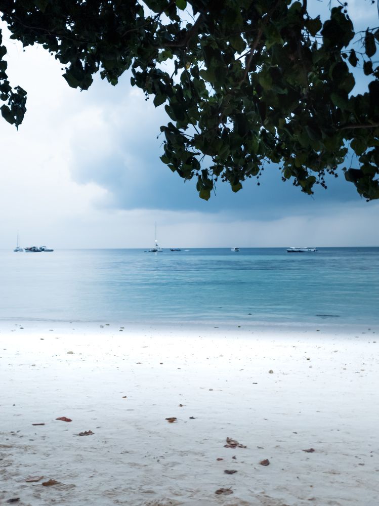 Photograph by Алина Орлова