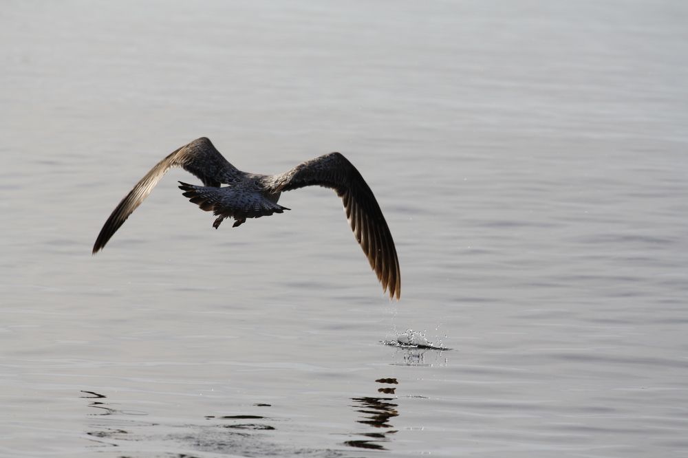 Photograph by Ольга Рыбникова