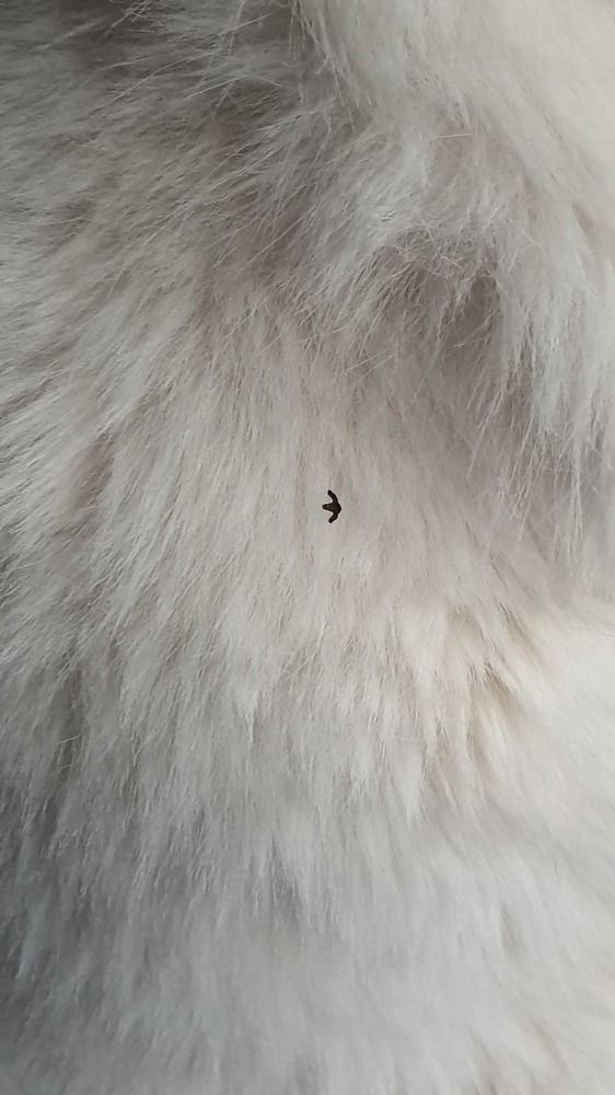 Photograph by Максим Вдовиченко