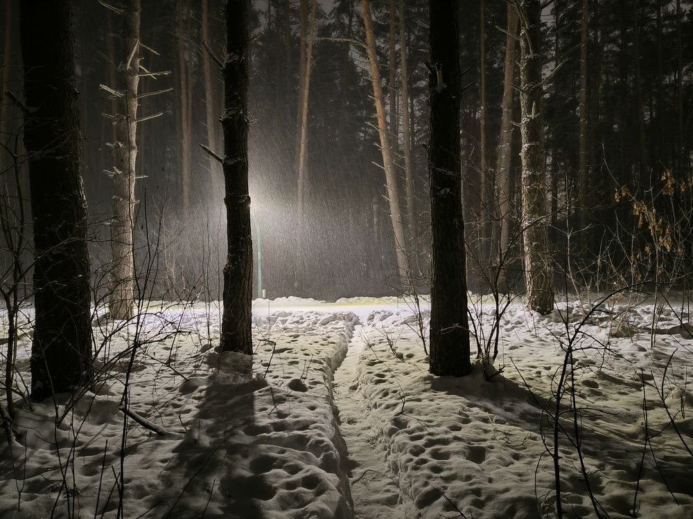 Photograph by Денис Хасанов