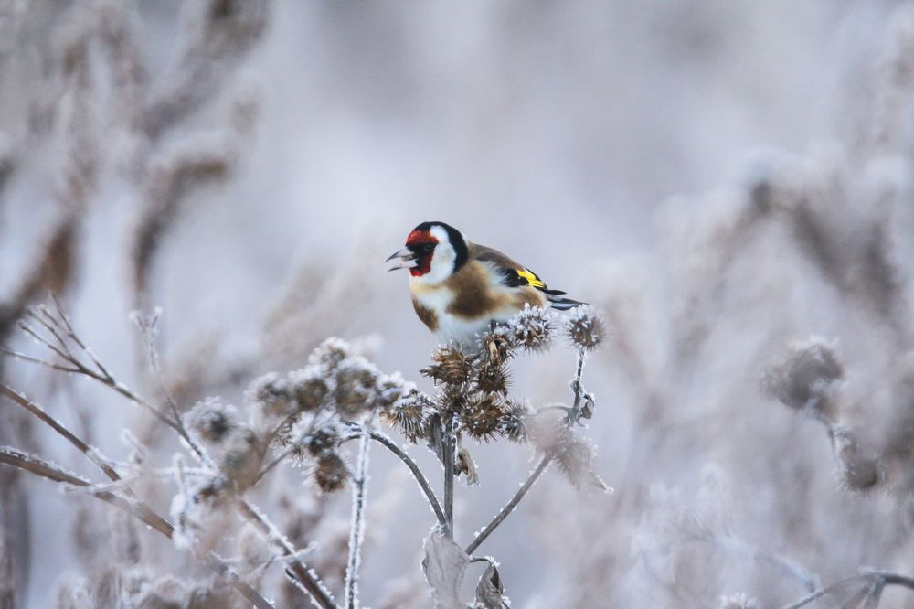 Photograph by Елизавета Цемко