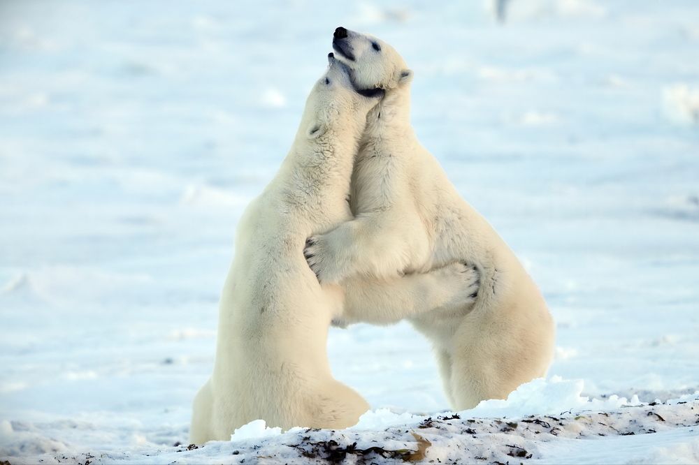 Photograph by Александр Перов